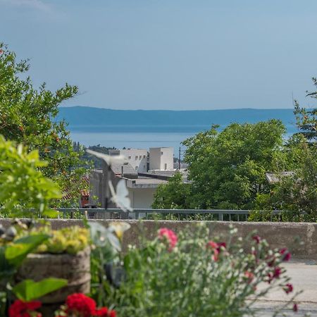 Apartment Strawberry Μακάρσκα Εξωτερικό φωτογραφία