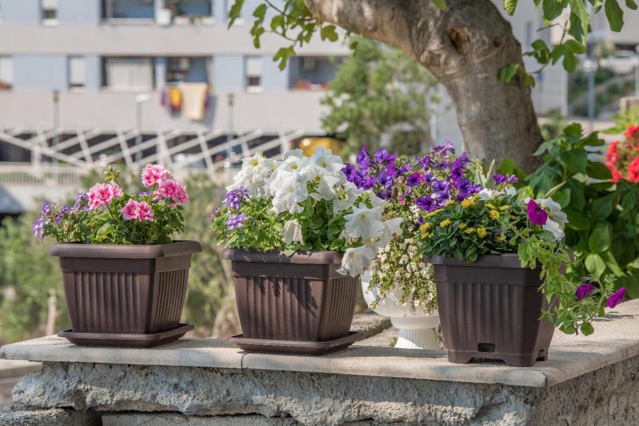 Apartment Strawberry Μακάρσκα Εξωτερικό φωτογραφία