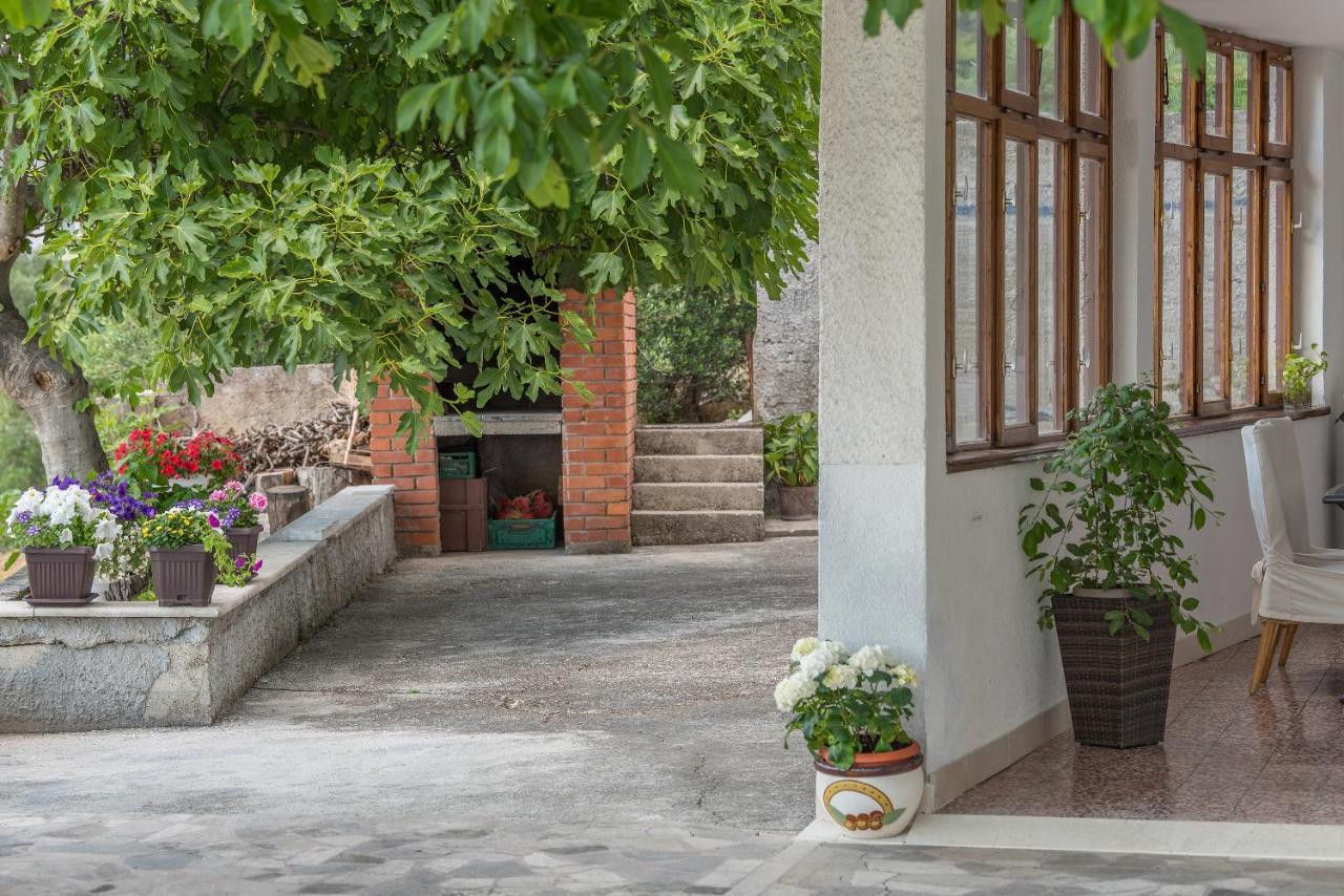 Apartment Strawberry Μακάρσκα Εξωτερικό φωτογραφία
