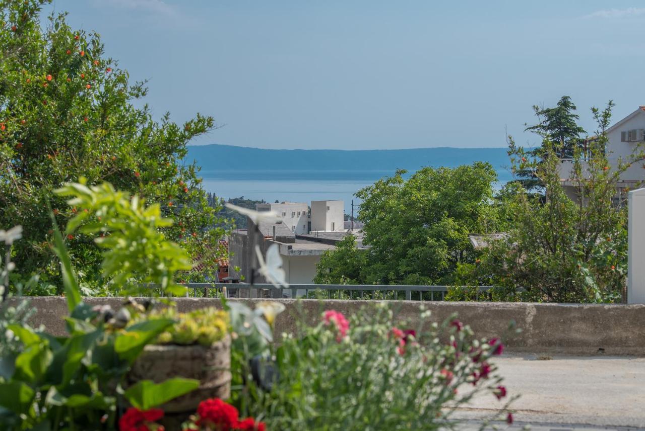Apartment Strawberry Μακάρσκα Εξωτερικό φωτογραφία