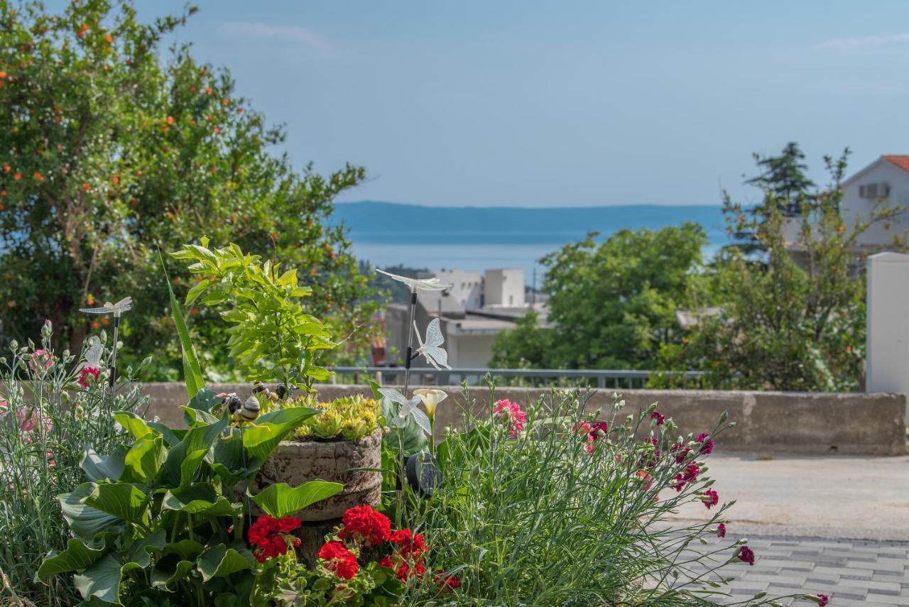 Apartment Strawberry Μακάρσκα Εξωτερικό φωτογραφία